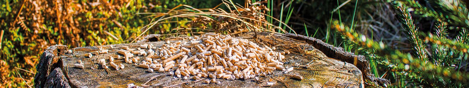 Lose_Heizinos_Pellets_Baumstumpf Lose_Heizinos_Pellets_Baumstumpf