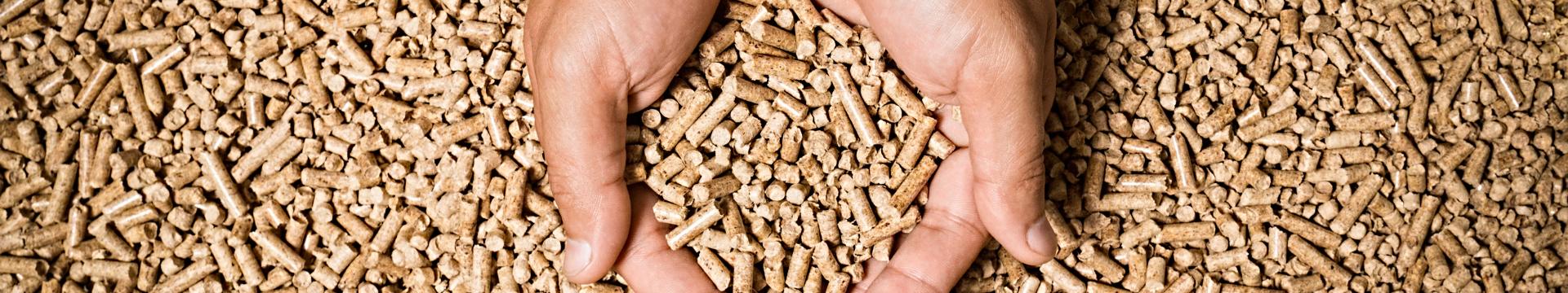 iStock-661627038 iStock-661627038