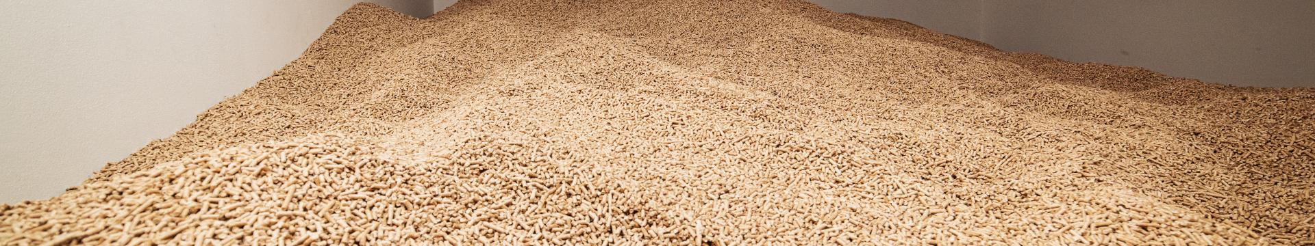 iStock-1729220989 iStock-1729220989