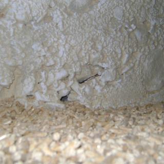 Fremdkorper_inkl_copyright Fremdkorper_inkl_copyright