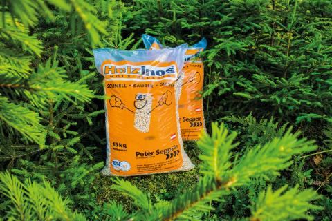 Fichtenbaum_Heizinos3_ohne_Baumstumpf Fichtenbaum_Heizinos3_ohne_Baumstumpf