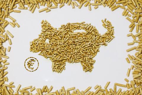 Euro_schwein Euro_schwein