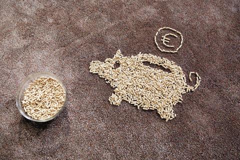 pelletsparschwein_3 pelletsparschwein_3