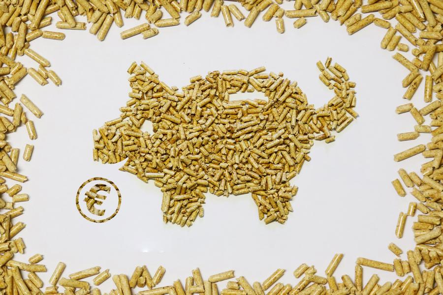 Euro_schwein Euro_schwein